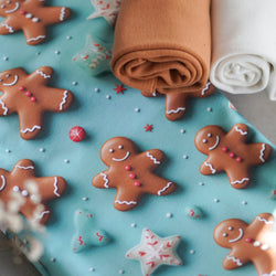 Stoffvorbestellung "Lebkuchenparty"