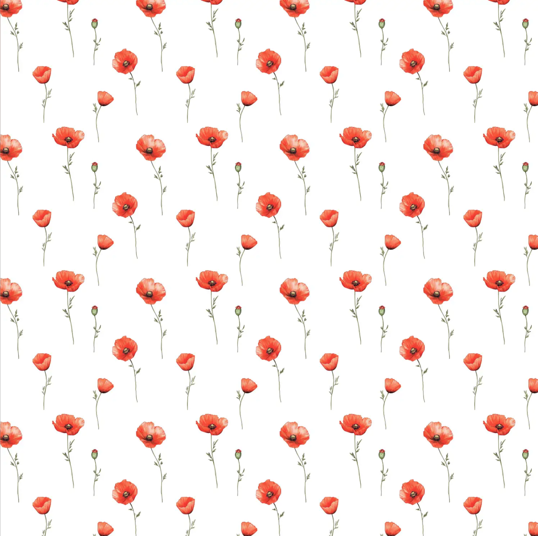 Popeline "Poppy Mohnblume"