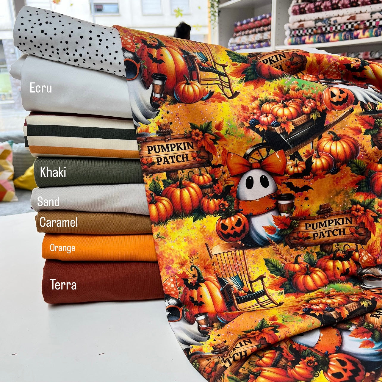 Stoffvorbestellung "Pumpkin Patch Ghosts"