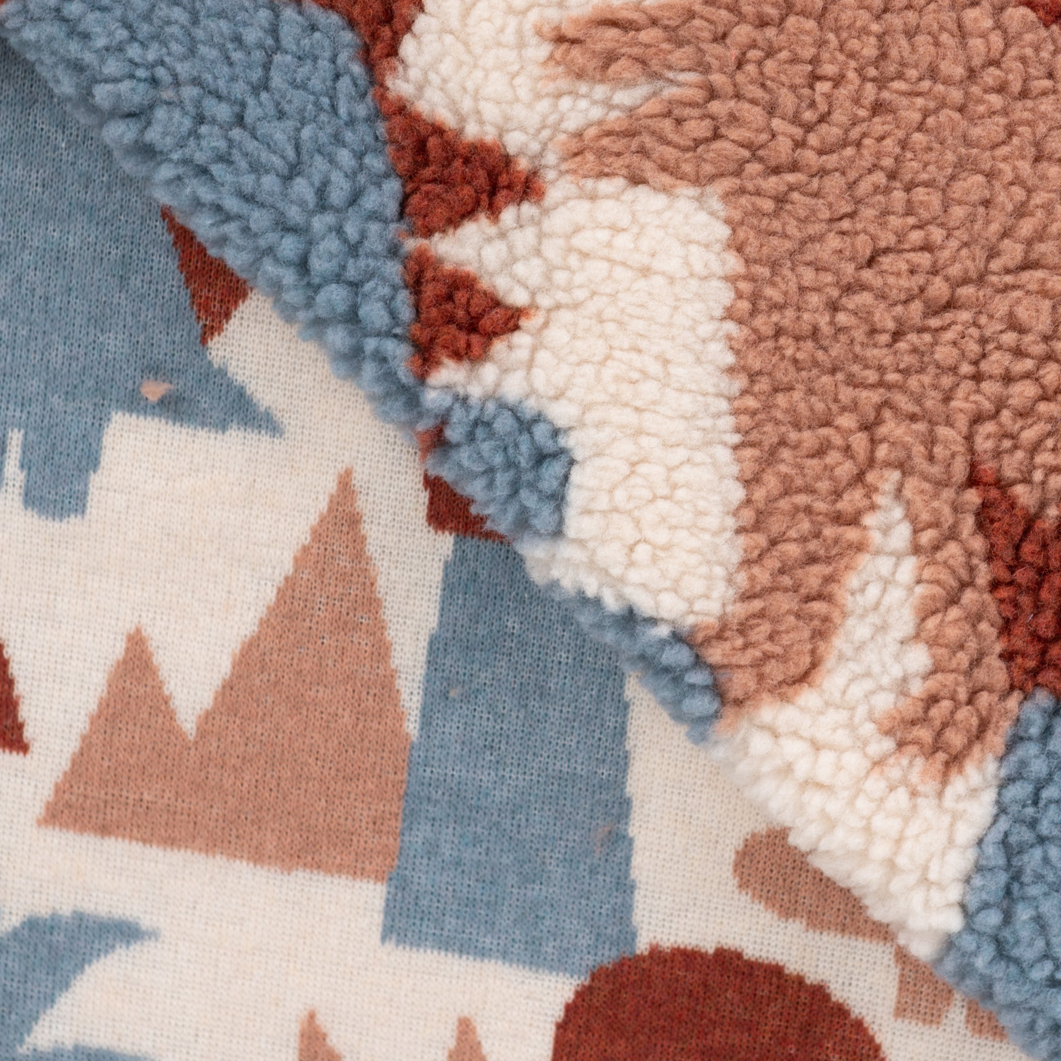Teddy Jacquard "Dinos"